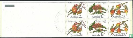 Eucalyptus bloesem - Afbeelding 3