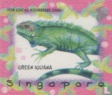 25 year Singapore Zoo