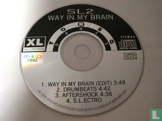 Way in my Brain - Afbeelding 3