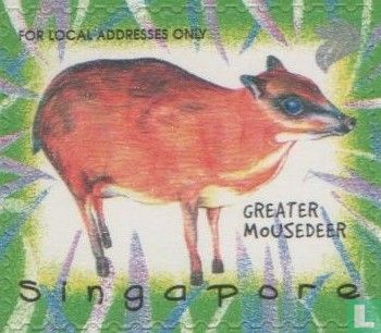 25 year Singapore Zoo 