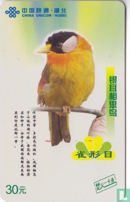 Bird - Afbeelding 1