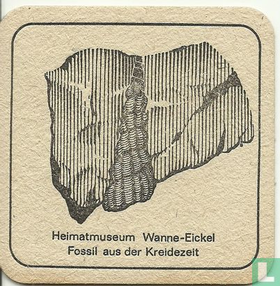 Eickel pils Heimatmuseum - Afbeelding 1