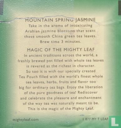 Mountain spring jasmine - Image 2