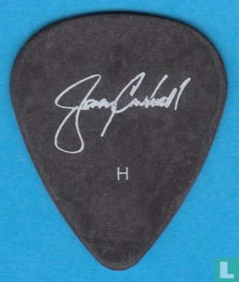 Alice in Chains, Jerry Cantrell Plectrum, Guitar Pick, 2006 - Afbeelding 2