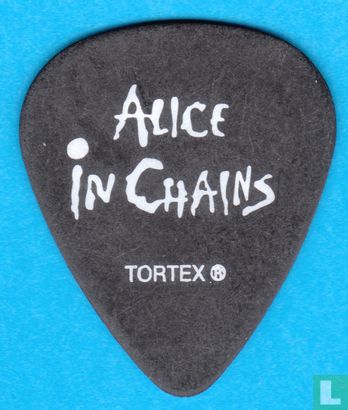 Alice in Chains, Jerry Cantrell Plectrum, Guitar Pick, 2006 - Afbeelding 1