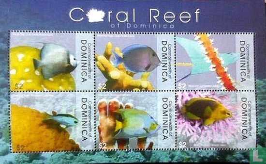 fauna in koraalriffen