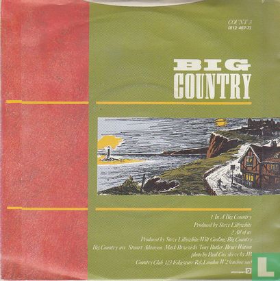 In a Big Country - Bild 2