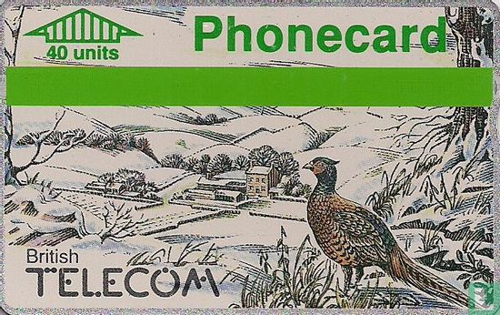 Winter 1989 - Pheasant
