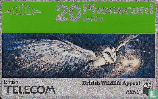 British Wildlife Appeal - Owl