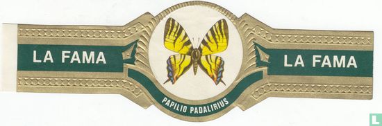 Papilio Padalirius - La Fama - La Fama   - Afbeelding 1