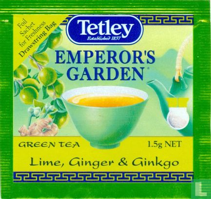 Green Tea Lime, Ginger & Ginkgo - Image 1
