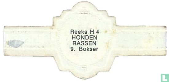 Bokser - Image 2