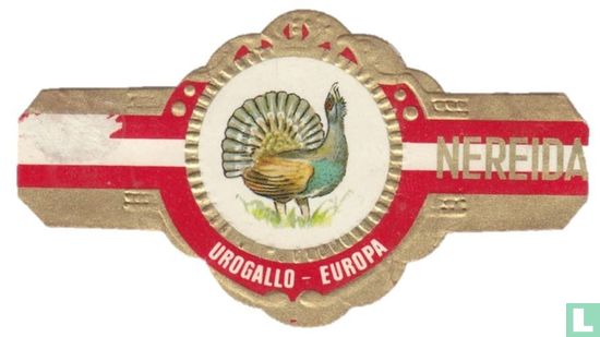 Urogallo - Europa - Afbeelding 1