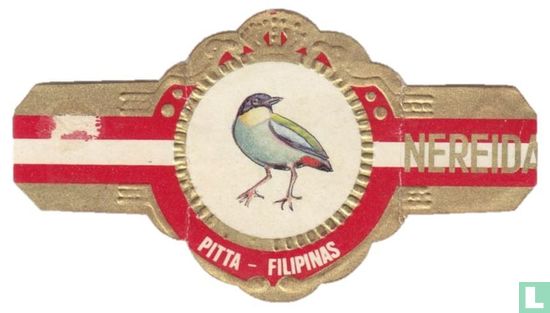 Pitta - Filipinas - Afbeelding 1