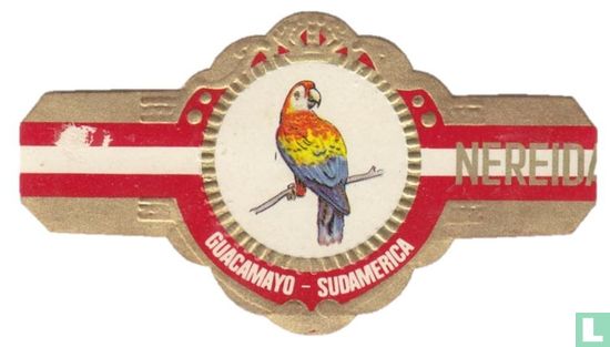 Guacamayo - Sudamerica - Afbeelding 1