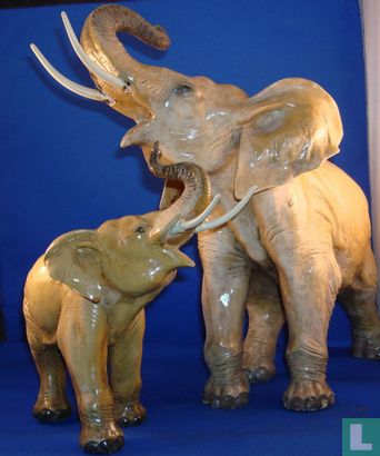 olifant jong - Image 3