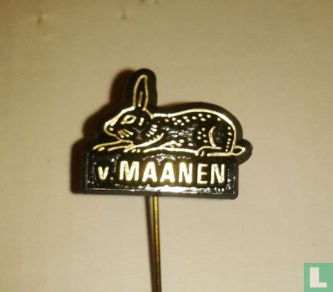 v. Maanen (lapin) [or sur noir] 