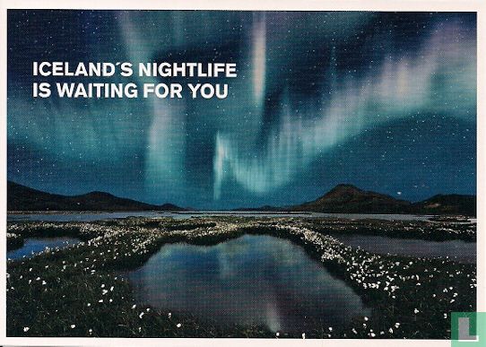 B150011 - Iceland's nightlife is waiting for you - Image 1