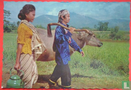 Farmer and his Wife heading for their rice-field, West java