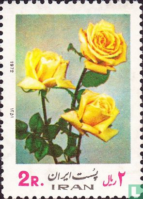 Roses (169)