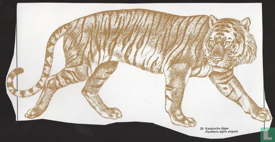 Kaspische tijger [Panthera tigris virgata]