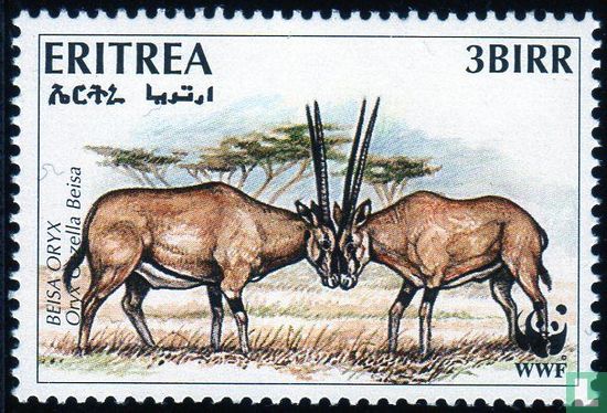Oryx d'Afrique de l'Est