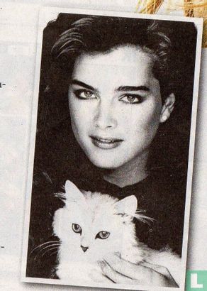 Brooke Shields met witte kat [1983]