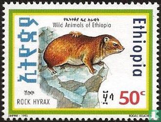 Wildlife Ethiopie