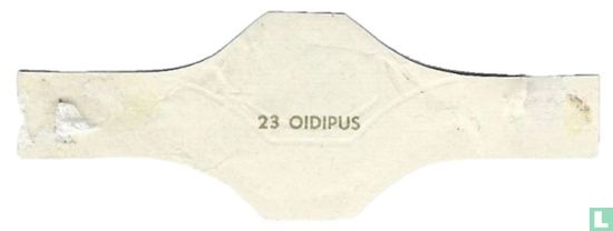 Oidipus - Afbeelding 2