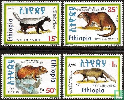 Wildlife Ethiopie