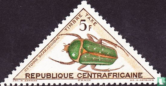 Beetles 