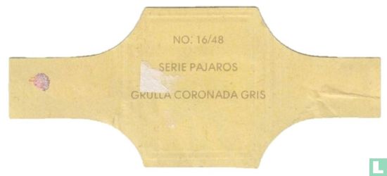 Grolla Coronada Gris - Afbeelding 2