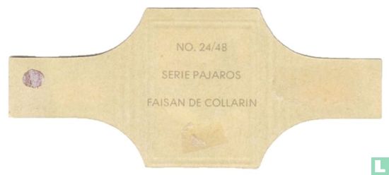 Faisan the Collarin - Image 2