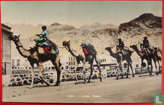 Aden - Camel Train