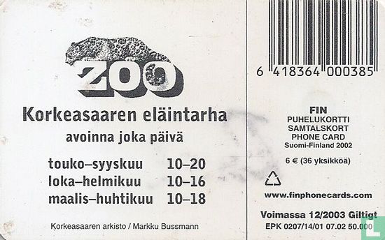 Papukaija - Bild 2