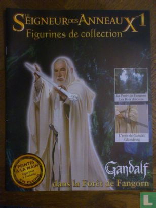 Seigneur des anneaux: Gandalf - Image 1