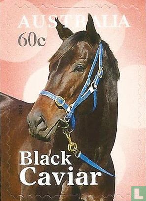 Racehorse 'Black Caviar'