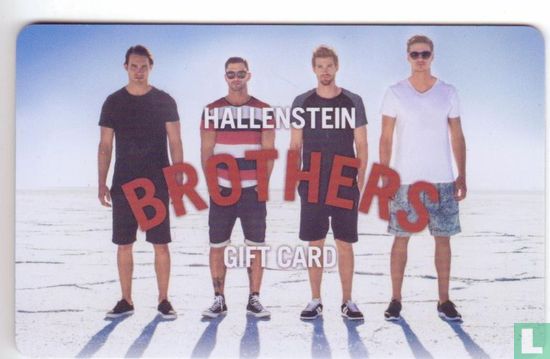 Hallenstein Brothers - Image 1
