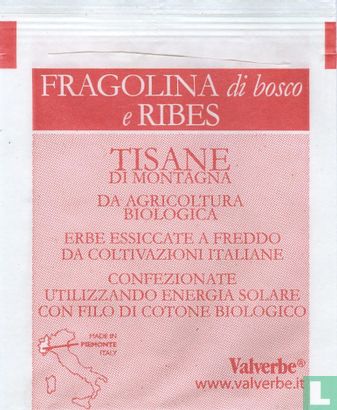 Fragola di bosco e Ribes - Afbeelding 2