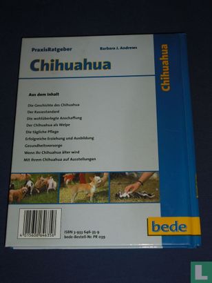 Chihuahua - Image 2