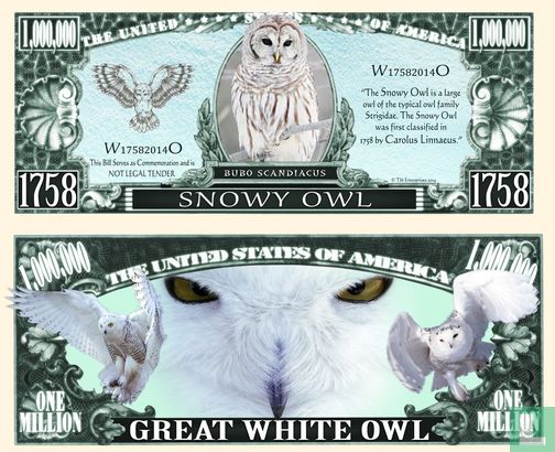 SNOWY OWL sneeuw UIL  biljet