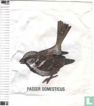 Passer Domesticus - Afbeelding 1
