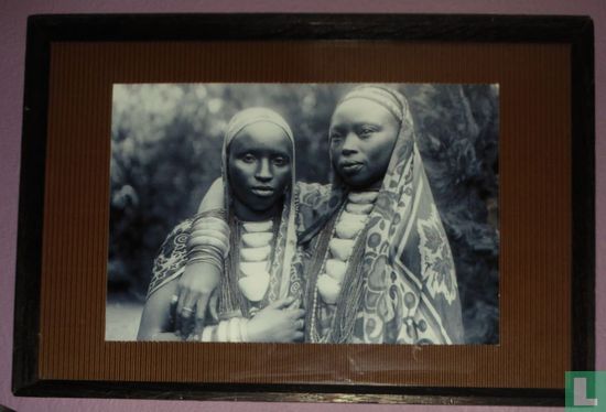 Afrikaanse Stamvrouwen - Image 2