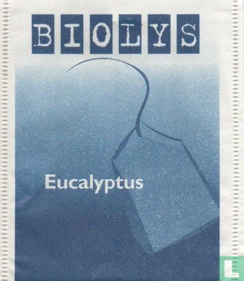 Eucalyptus - Afbeelding 1