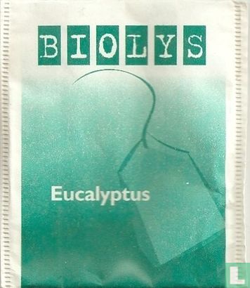 Eucalyptus - Bild 1