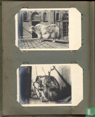 Korff's Briefkaarten Album - Afbeelding 3
