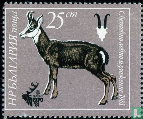Exposition de Chasse