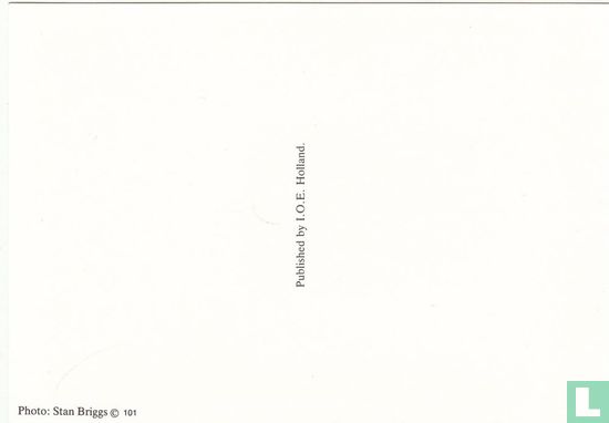 Holland - Image 2