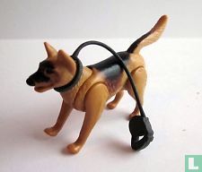 Duitse Shepard Hond
