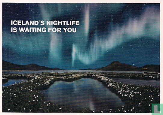 B150011a - Iceland's nightlife is waiting for you - Image 1